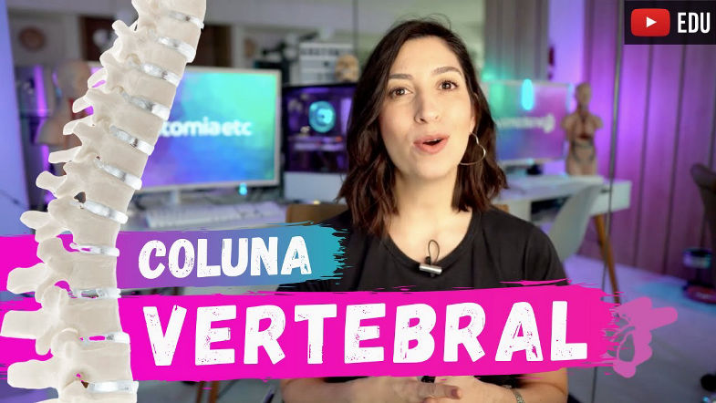 COLUNA VERTEBRAL - Anatomia