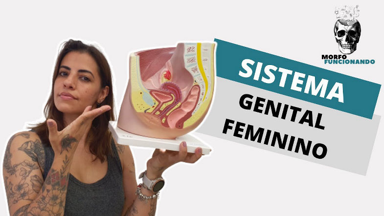 ANATOMIA DO SISTEMA REPRODUTOR FEMININO