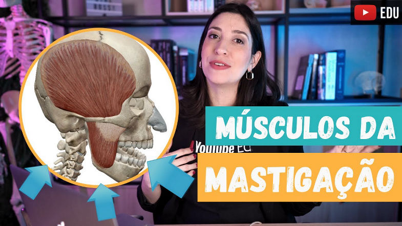 MÚSCULOS DA MASTIGAÇÃO! Com programa 3D