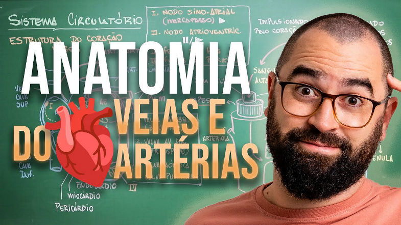 Anatomia do coração, veias e artérias - Aula 25 - Módulo 7 Fisiologia Humana