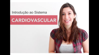 Sistema Cardiovascular 16 Introdução | Anatomia e etc.