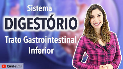 Sistema Digestório 35 Trato Gastrointestinal Inferior. Intestino Delgado e Intestino Grosso