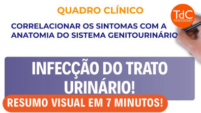 Infecção do trato urinário Resumo prático do que você precisa saber