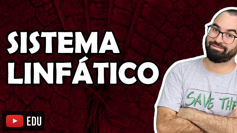 Sistema Linfático - Aula 26 - Módulo VII Histologia e Fisiologia Humana | Prof. Gui