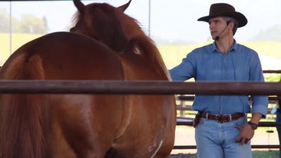 COMUNICAÇÃO HOMEM CAVALO - ULYSSES ERVILHA - PARTE 2