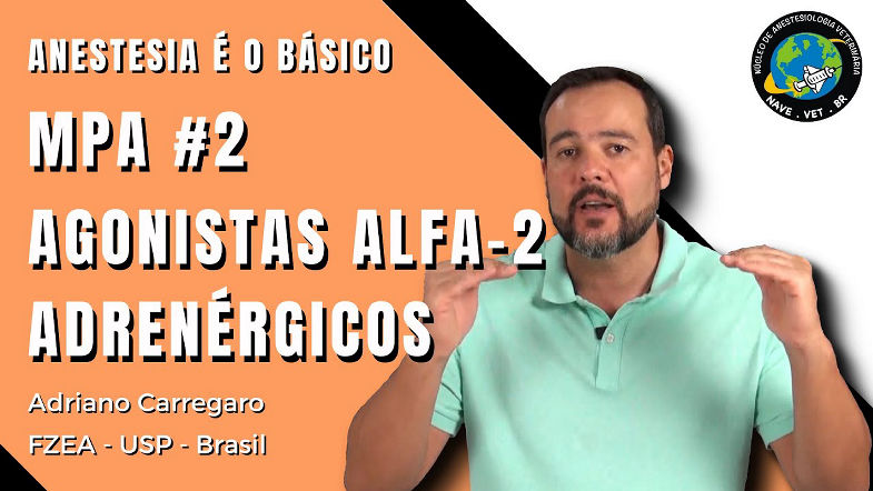 MPA EM ANIMAIS (Anticolinérgicos e Agonistas alfa-2) | Anestesia e o Basico 6