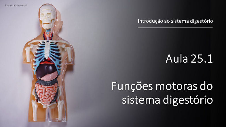 Videoaula 25.1 Funções motoras do sistema digestório