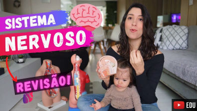 SISTEMA NERVOSO Revisão no tapetinho!