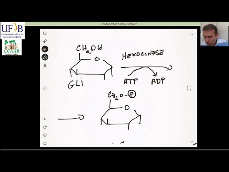 Aula de bioquímica da lactação - 2 parte