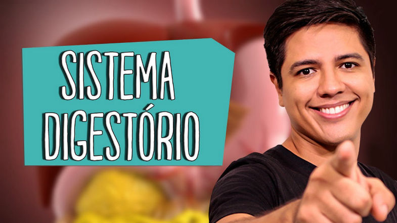 SISTEMA DIGESTÓRIO - Anatomia e Fisiologia - Prof. Kennedy Ramos