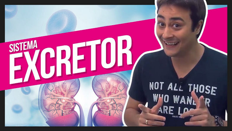 Sistema Excretor | Prof. Paulo Jubilut