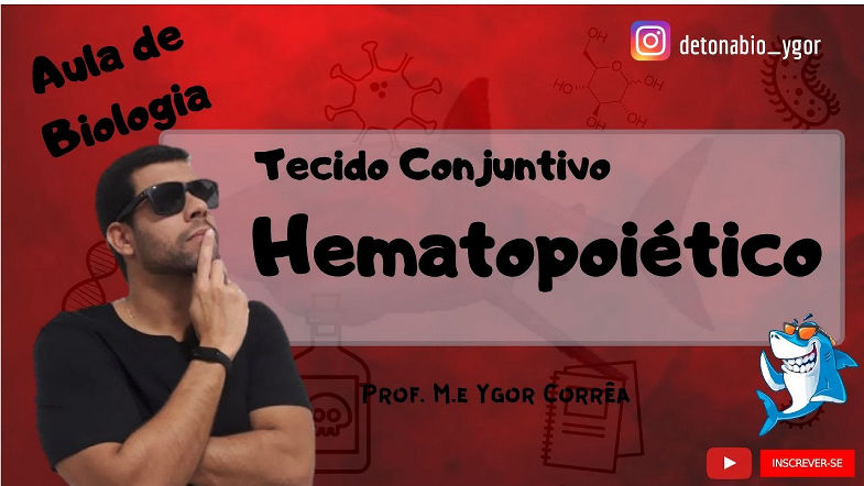 Histologia Animal (aula VIII) - Tecido Conjuntivo Hematopoiético