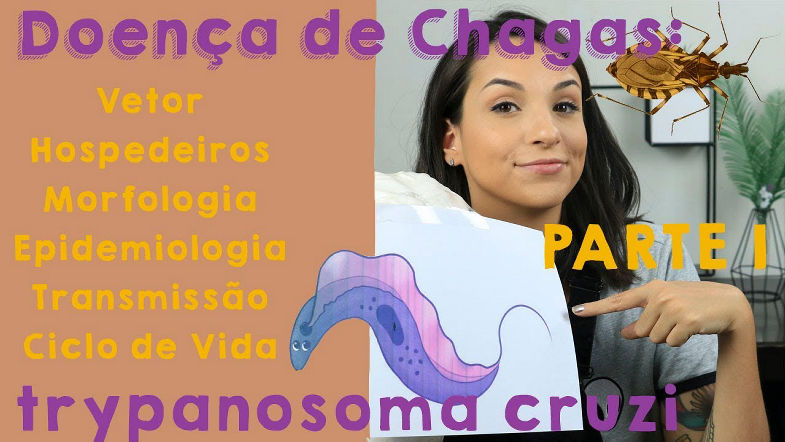 Doença de Chagas Trypanosoma cruzi DICAS PARA SUA PROVA PRÁTICA | Parte I | PARASITOLOGIA 2