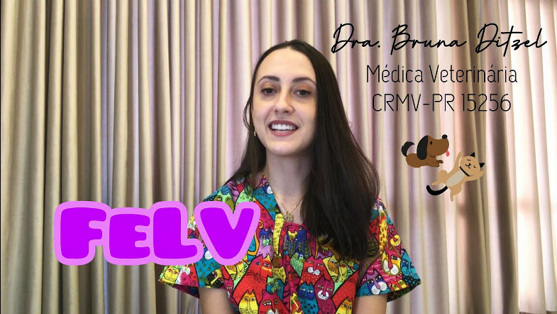 Leucemia Viral Felina, a FeLV