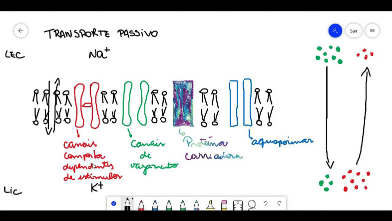 Transportes através da membrana