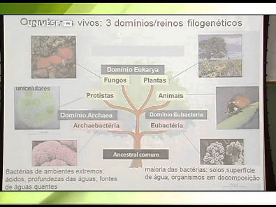 Introdução à Bioquímica - Aula 10 - Parte 1 - Células e Compartimentalização em Sistemas