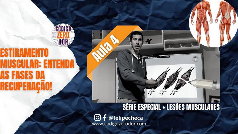 ESTIRAMENTO MUSCULAR Entenda as fases da recuperação!