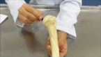 material thumbnail image