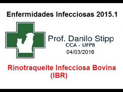 Infecciosas 2015.2 Aula #3 - Rinotraqueíte Infecciosa Bovina (IBR)