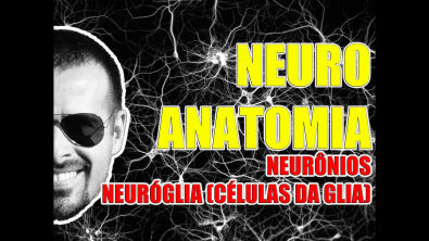 Vídeo Aula 082 - Sistema Nervoso/Neuroanatomia: Os neurônios e as células da glia