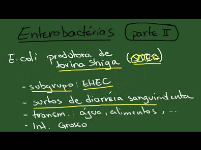 Escherichia coli - Resumo - Microbiologia