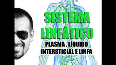 Vídeo Aula 028 - Sistema Linfático - Anatomia Humana - Plasma, Líquido Intersticial e Linfa
