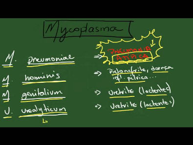 Mycoplasma - Resumo - Microbiologia