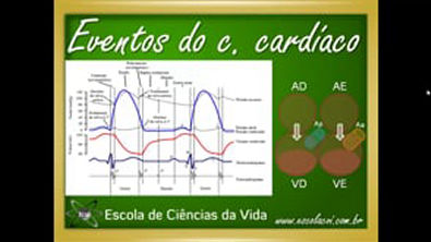 Fisiologia  Aula 22   Sistema Circulatório   Ciclo cardíaco