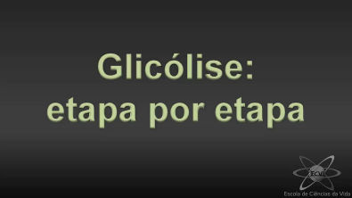 Glicólise - Etapa por etapa