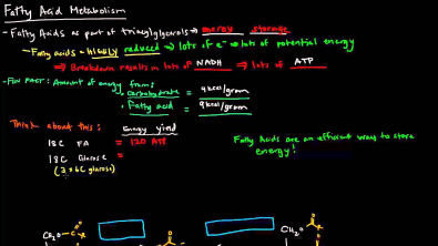 Fatty Acid Metabolism (Part 1 of 8) - Introduction