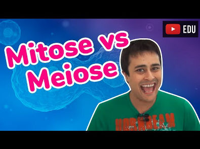 Mitose vs. Meiose - Divisão Celular - Prof. Paulo Jubilut