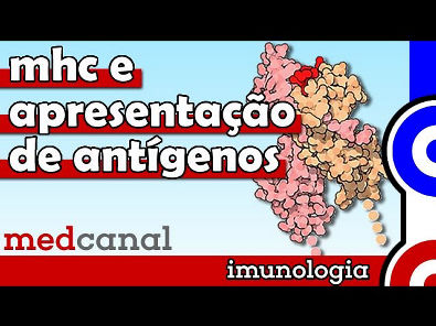MHC e Apresentação de Antígenos | IMUNOLOGIA (Vídeo 7)