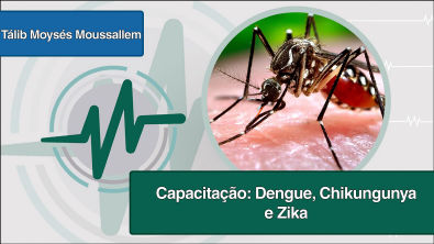 Webconferência: Capacitação: Dengue, Chikungunya e Zika - Telessaúde ES 09/12/2015