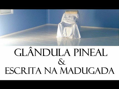 Glândula Pineal e Escrita na Madrugada - Waldo Vieira (Conscienciologia)