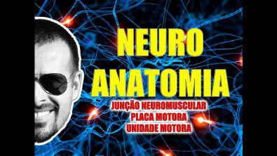 Vídeo Aula 084 - Sistema Nervoso/Neuroanatomia: Junção neuromuscular, placa motora e unidade motora