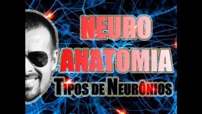 Vídeo Aula 090 - Sistema Nervoso - Tipos de neurônios: Multipolar, Bipolar e Pseudo-Unipolar