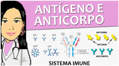 Imunologia 08 - Antígeno e Anticorpo