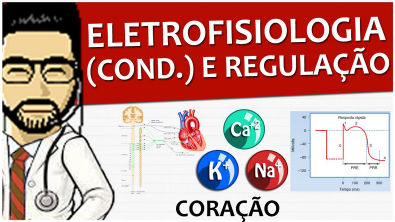 Coração 09 - Eletrofisiologia (condução) e Regulação - Vídeo aula de Sistema circulatório