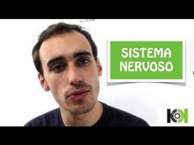 Fisiologia Animal - Sistema Nervoso