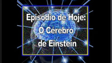 O Cérebro de Einstein   Silvia H Cardoso