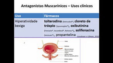 Curso de Farmacologia  Aula 6   Farmacologia colinérgica   Antagonistas muscarínicos