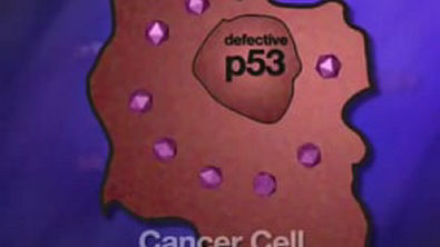 Uso da p53 no combate ao câncer   Using p53 to fight cancer   YouTube