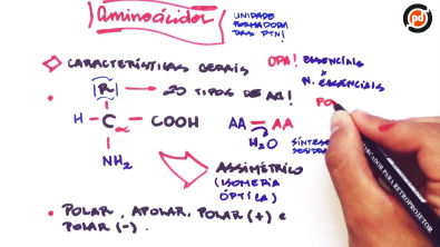 Aminoácidos - Teoria
