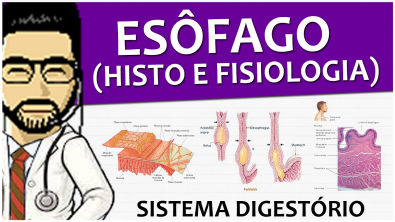 Sistema Digestório 09 - Esôfago P2 + Histologia do canal alimentar