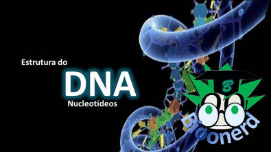 DNA-nucleotídeos