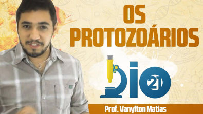 Protozoários - Prof. Vanylton Matias