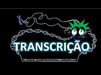Transcrição e RNA