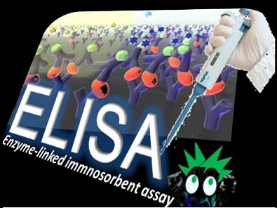 Teste de ELISA(imunologia)