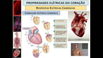 Eletrofisiologia Celular Cardíaca - Geração e Condução dos Potenciais de Ação no Coração.