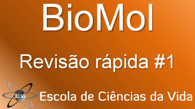 Revisão rápida de Biologia Molecular #1: Ciclo celular